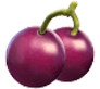 fruta-5